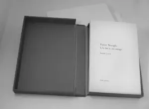 V à Z livre et auteur avec discours critique, collaborant avec ENd Editions en miniature