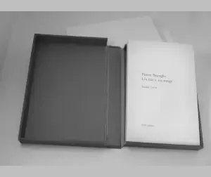 V à Z livre et auteur avec discours critique, collaborant avec ENd Editions en miniature