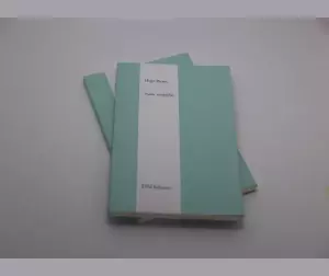 D à G un livre d un auteur édité par viviane Zenner par ENd Edition en miniature